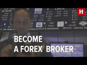 Best White Label Forex Brokers and Providers 2023